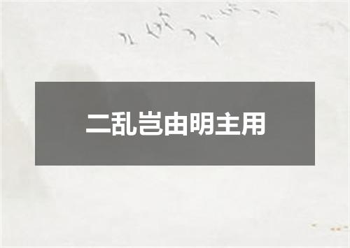 二乱岂由明主用