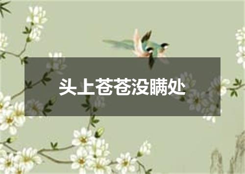 头上苍苍没瞒处
