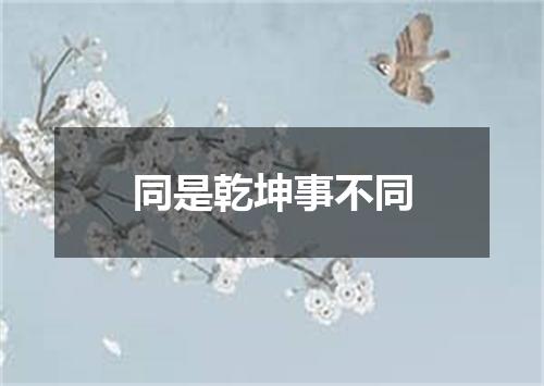 同是乾坤事不同