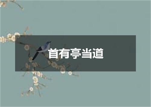 首有亭当道