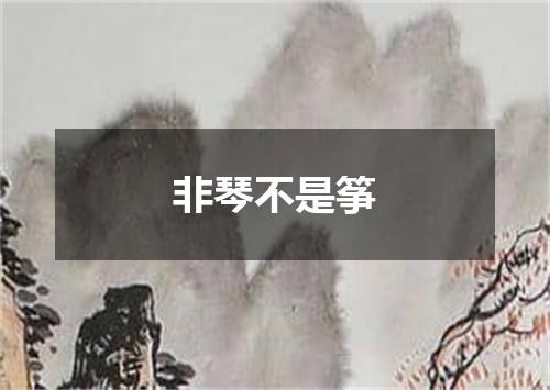非琴不是筝