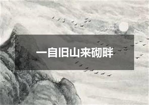 一自旧山来砌畔