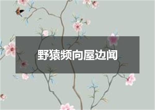 野猿频向屋边闻