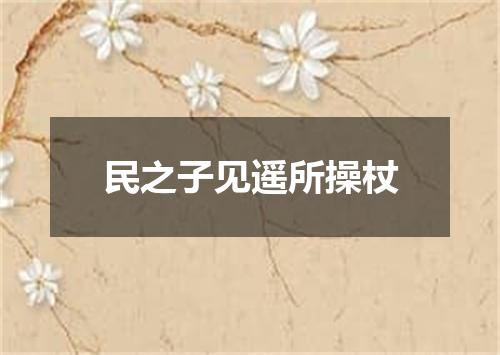 民之子见遥所操杖
