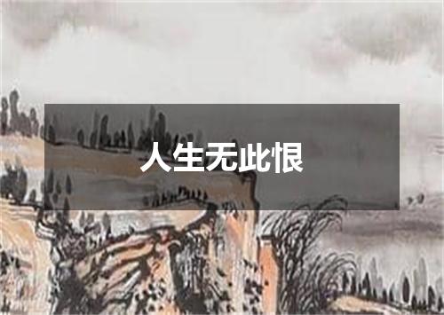 人生无此恨