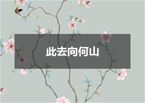 此去向何山