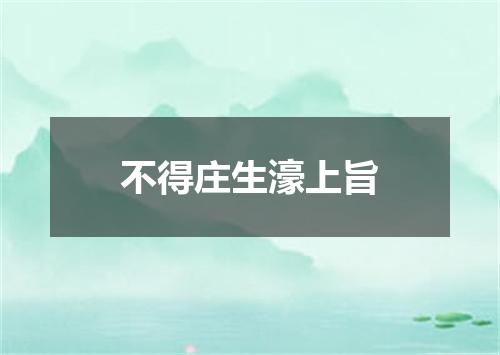 不得庄生濠上旨