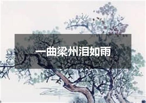 一曲梁州泪如雨