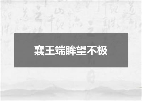 襄王端眸望不极