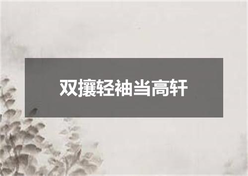 双攘轻袖当高轩
