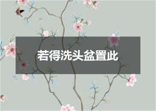 若得洗头盆置此
