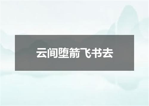 云间堕箭飞书去