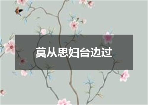 莫从思妇台边过