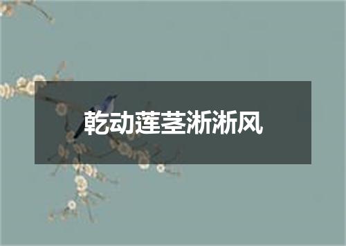 乾动莲茎淅淅风