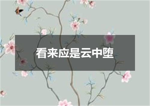 看来应是云中堕