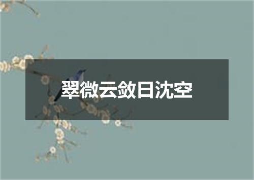 翠微云敛日沈空