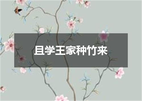 且学王家种竹来