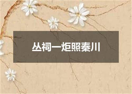丛祠一炬照秦川