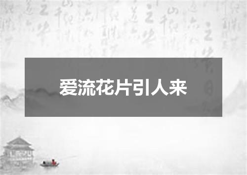 爱流花片引人来