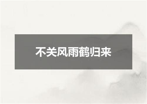 不关风雨鹤归来