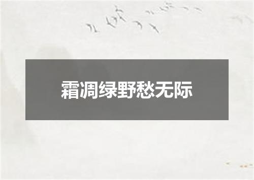 霜凋绿野愁无际