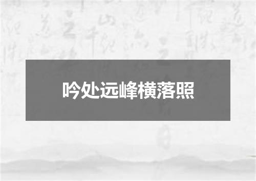 吟处远峰横落照