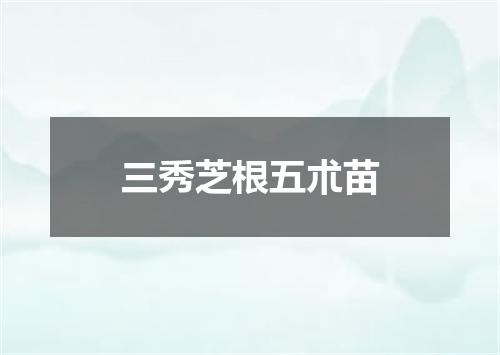 三秀芝根五朮苗