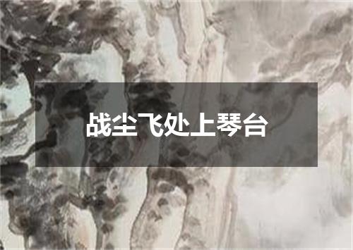 战尘飞处上琴台
