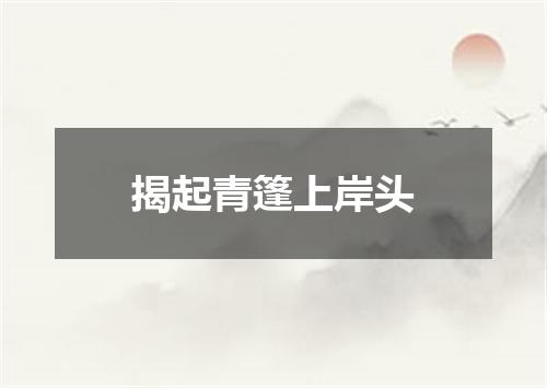 揭起青篷上岸头