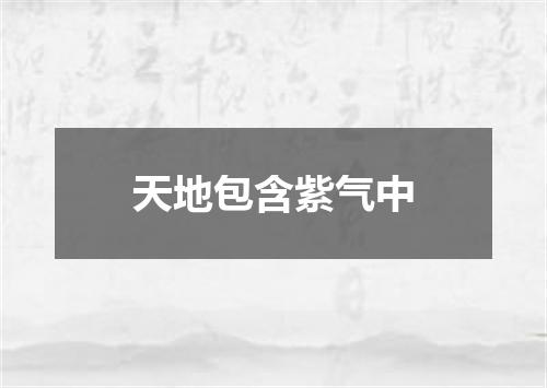 天地包含紫气中