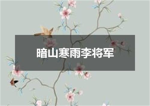 暗山寒雨李将军