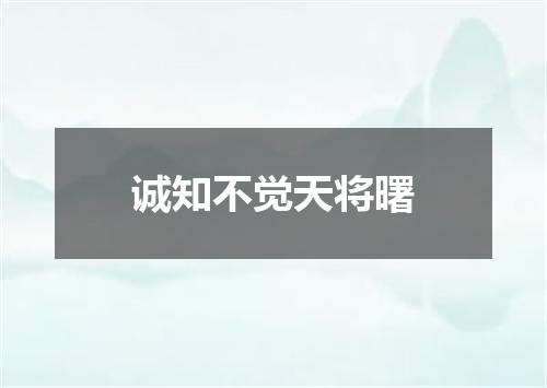 诚知不觉天将曙