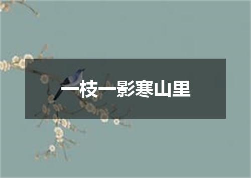 一枝一影寒山里