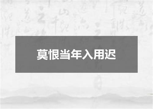 莫恨当年入用迟