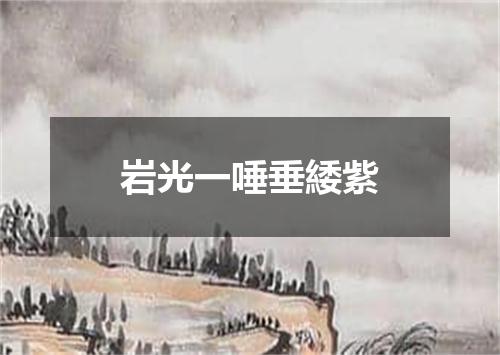 岩光一唾垂緌紫