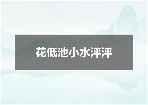 花低池小水泙泙
