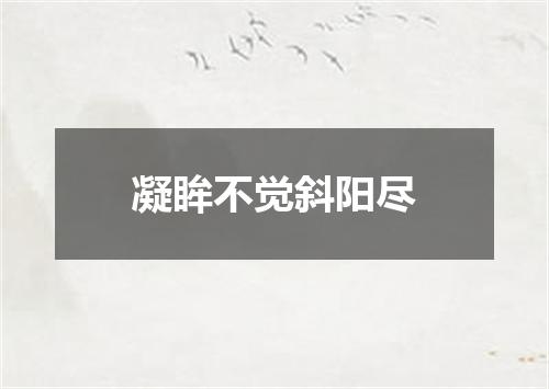 凝眸不觉斜阳尽