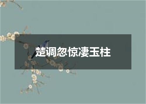 楚调忽惊凄玉柱