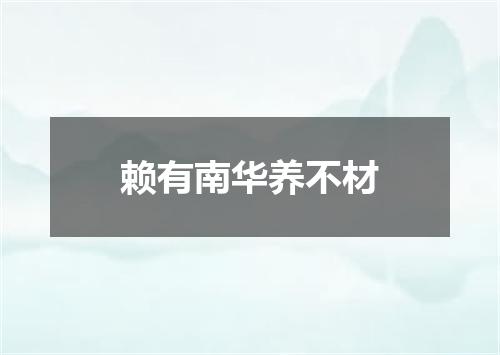 赖有南华养不材