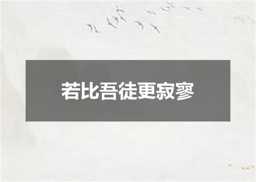 若比吾徒更寂寥
