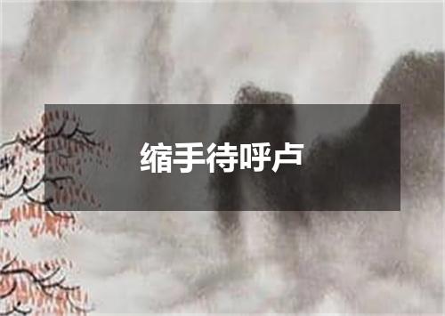 缩手待呼卢