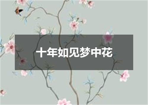 十年如见梦中花