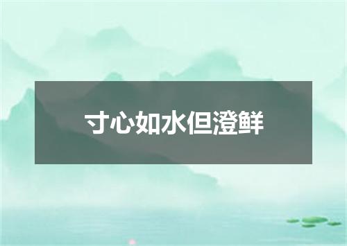 寸心如水但澄鲜