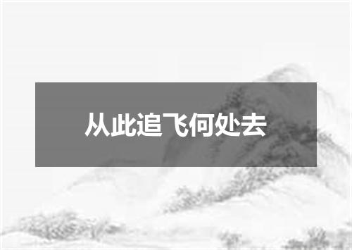 从此追飞何处去