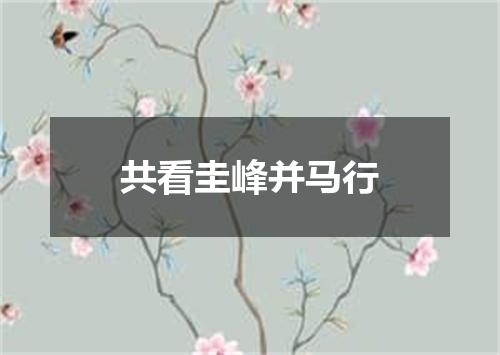 共看圭峰并马行