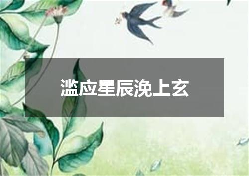 滥应星辰浼上玄