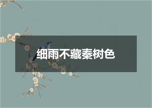 细雨不藏秦树色