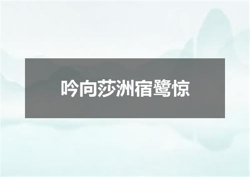吟向莎洲宿鹭惊