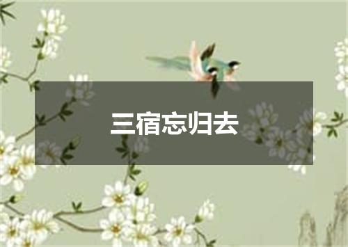 三宿忘归去