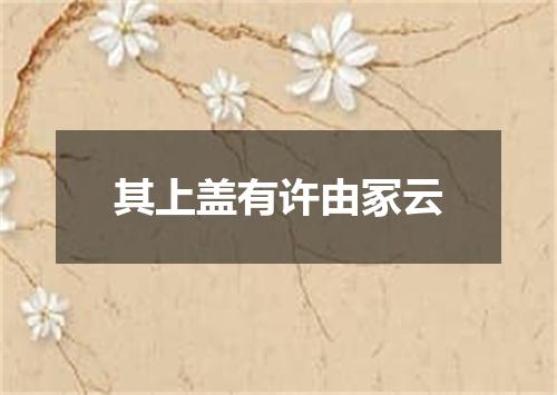其上盖有许由冢云